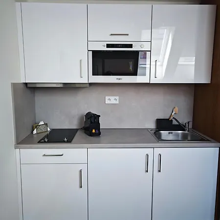 David's Town Center Appartement Praag